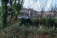 DSC 7551