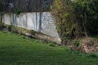 DSC 7555