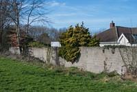 DSC 7560