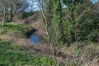 DSC 7565