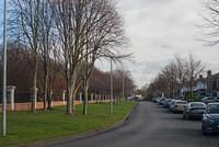 DSC 7569