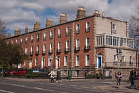 DSC 8556