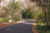 DSC 8017