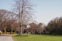DSC 8110