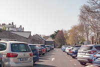 DSC 8161