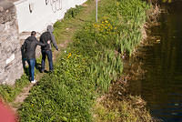 DSC 8799