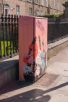 DSC 8816
