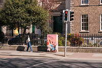 DSC 8818