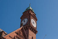 DSC 8832
