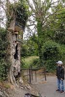 St. Colmcille's Well