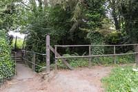 DSC 0798