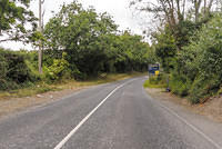 DSC 0825