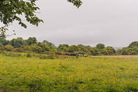 DSC 0829