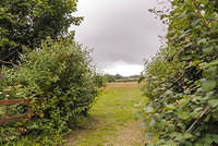 DSC 0831