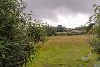 DSC 0832