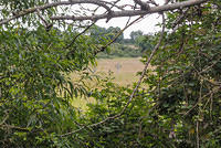 DSC 0834