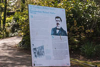 DSC 9176