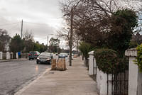DSC 7153