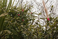 DSC 7156