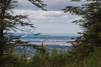 DSC 3033
