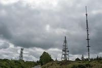 DSC 3135
