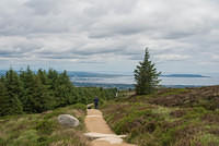 DSC 3151
