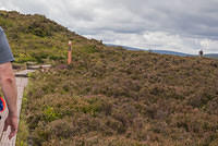 DSC 3167