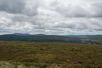 DSC 3176
