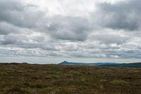 DSC 3182