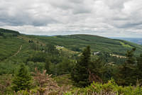 DSC 3213