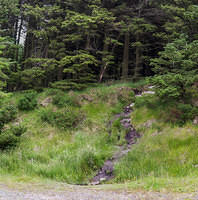 Untitled Panorama11