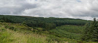 Untitled Panorama5.1