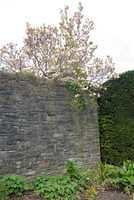 DSC 1135