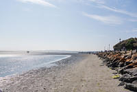 DSC 0333
