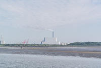 DSC 0338