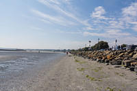 DSC 0347