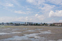 DSC 0364