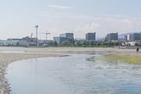 DSC 0406