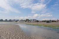 DSC 0411