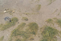 DSC 0429