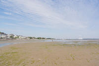 DSC 0434