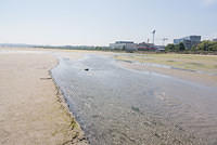 DSC 0440