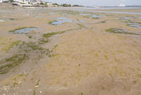 DSC 0446