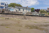 DSC 0454
