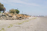 DSC 0476