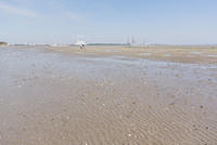 DSC 0484