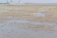 DSC 0486