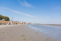DSC 0518