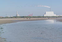 DSC 0540