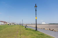 DSC 0559